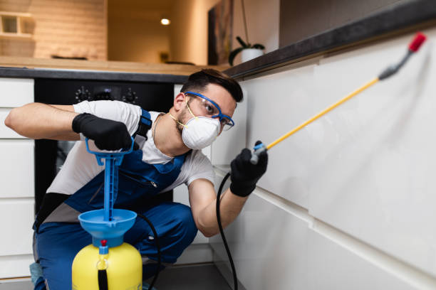 Best Mosquito Control Services  in Lindenhurst, IL
