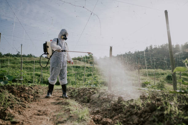 Best Ant Control Services  in Lindenhurst, IL