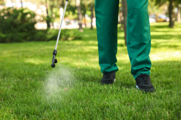 Best Pest Prevention Services  in Lindenhurst, IL
