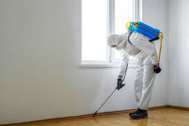 Best Local Pest Control Services  in Lindenhurst, IL