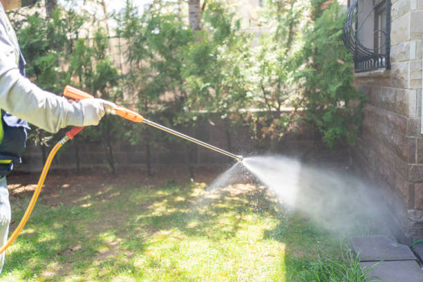 Best Ant Control Services  in Lindenhurst, IL
