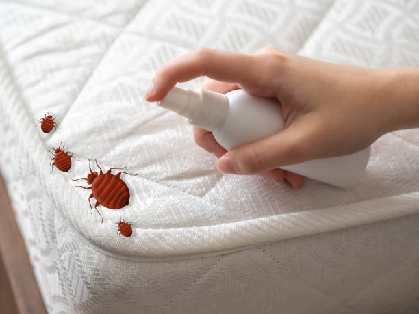 Lindenhurst, IL Pest Control Company