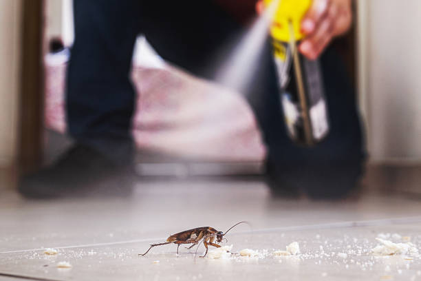 Best Pest Inspection Near Me  in Lindenhurst, IL