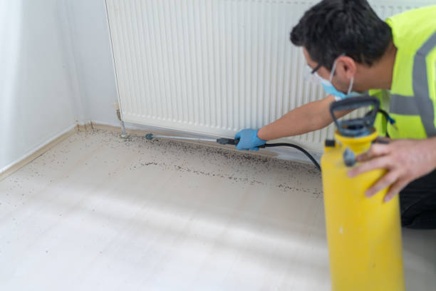 Best Wasp Removal Services  in Lindenhurst, IL